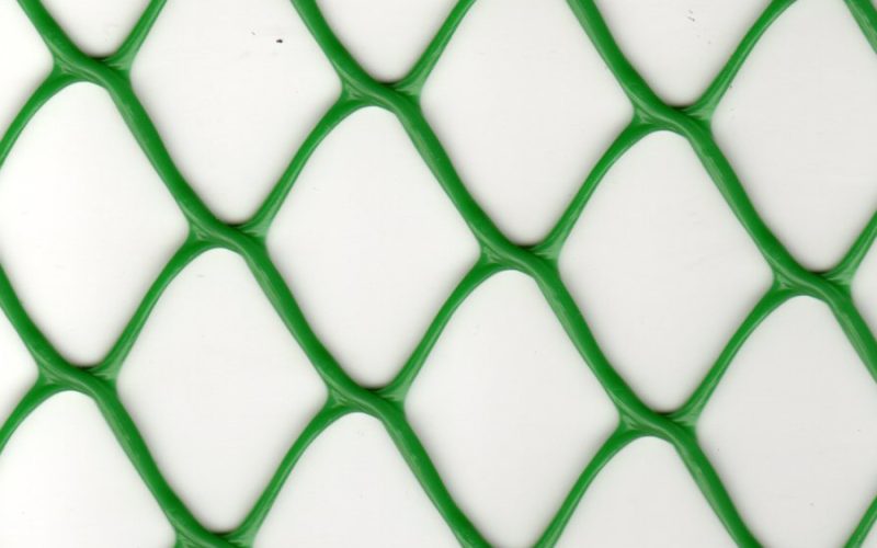 Tela Touro nº 3 - Verde